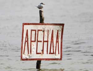 аренда, арендная плата