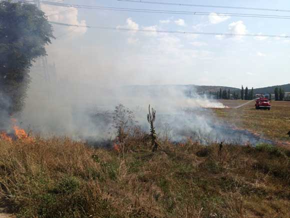 горит трава, пожар в поле