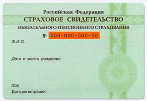 страховой номер индивидуального лицевого счета