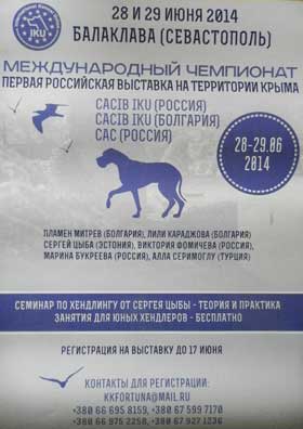 выставка собак в Балаклаве