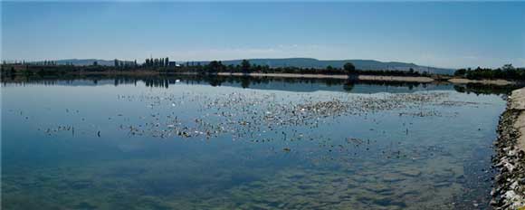 льминское водохранилище