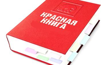 Красная книга