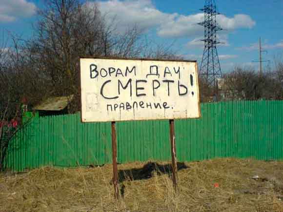 дачные воры