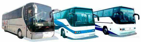 международные автобусные перевозки