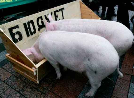 свиньи у корыта бюджет