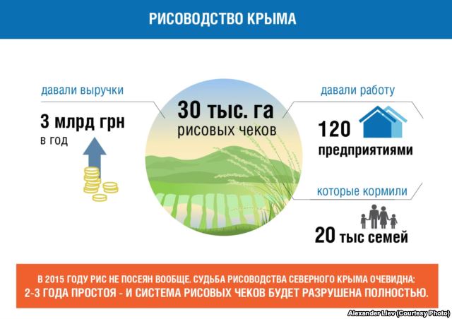 рисоводство Крыма