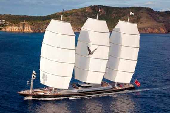 Maltese Falcon