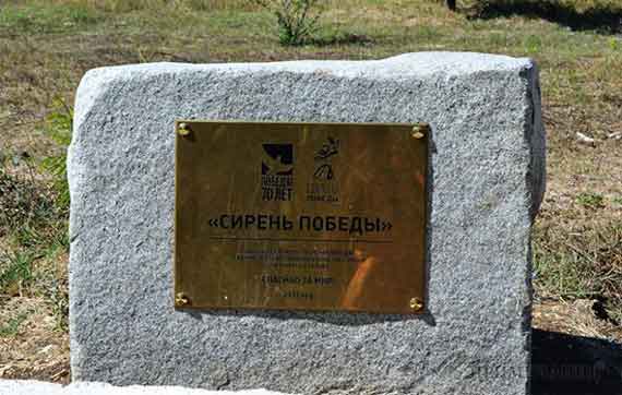 Сирень Победы в Севастополе