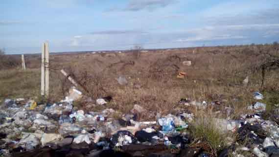 земли бывшего совхоза имени Полины Осипенко в Севастополе