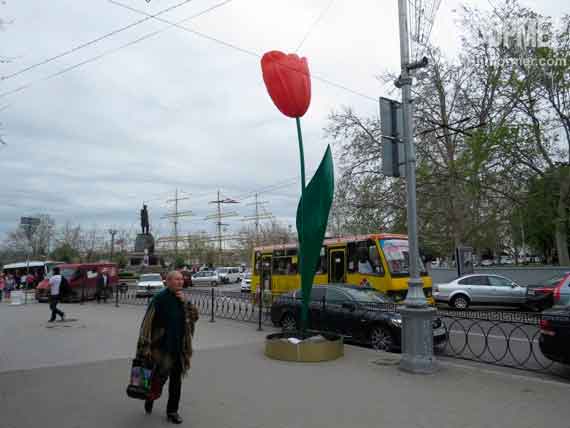 пластиковые тюльпаны к 9 мая в Севастополе