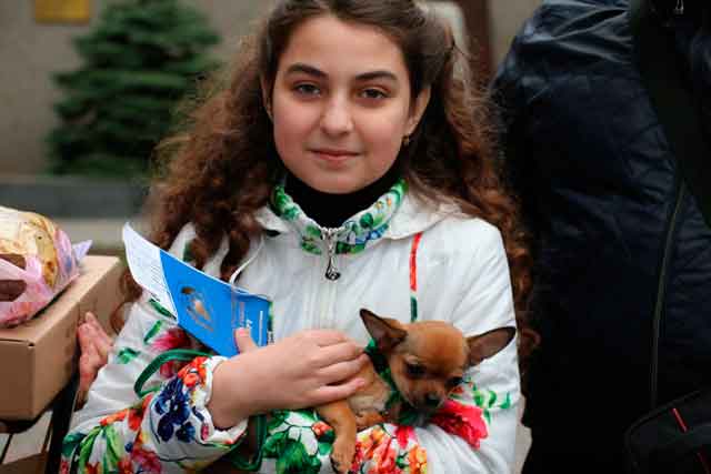 4 марта по поручению Президента Российской Федерации Владимира Путина, 11-летней севастопольской девочке Алине Зыковой вручен щенок породы чихуахуа.