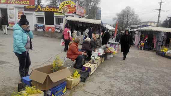 Многочисленные «торговцы» заполоняют самодельными прилавками из картонных коробок пешеходные тротуары вблизи остановок общественного транспорта, коммунальных рынков, мест отдыха жителей Севастополя в различных микрорайонах города. Торговцы наперебой предлагают проходящим мужчинам приобрести нарциссы, тюльпаны, мимозы, гиацинты, первоцветы и подснежники. Отметим, что и цены на живые цветы перед 8 марта вырастают как минимум в 2 раза.