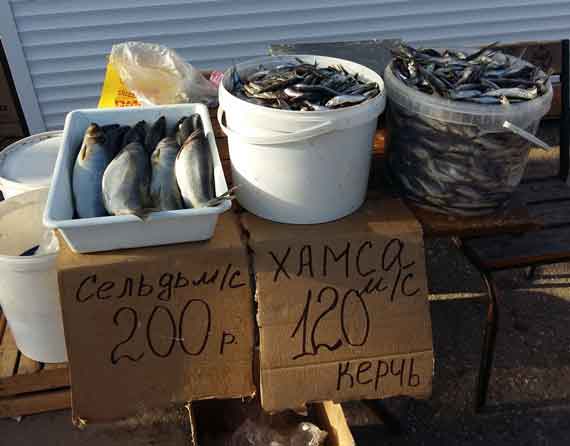  Животноводческая продукция без ветеринарных документов, реализуемая в неположенных местах, при употреблении в пищу создает угрозу здоровью и жизни потребителей (пищевое отравление, заражение вирусными, бактериальными и паразитарными заболеваниями, летальный исход).