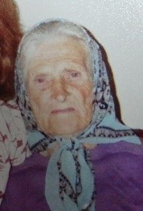 1 декабря около 12:00 в дежурную часть ОМВД России по Нахимовскому району поступило сообщение о том, что ночью с места жительства по проспекту Победы ушла и до настоящего времени не вернулась 87-летняя Штефаненко Лидия Павловна.