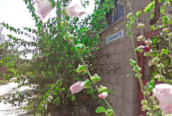 улица Красивая в Севастополе