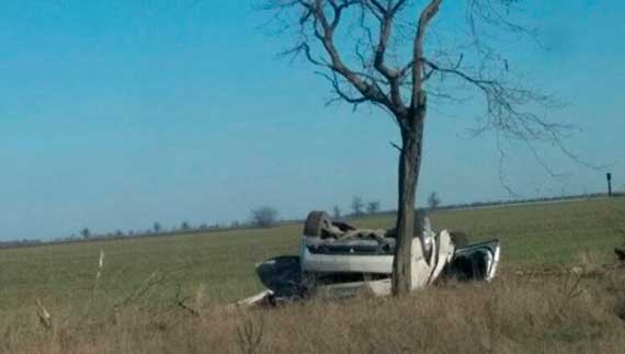 25-летний водитель автомобиля Cadillac GMX 322, двигаясь со стороны Николаевки в направлении Симферополя, не выбрал безопасную скорость движения, в результате чего совершил съезд с дороги с последующим наездом на дерево и опрокидыванием