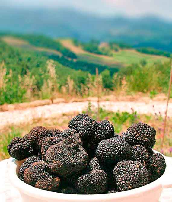 крымские трюфели