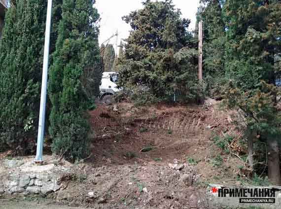 Экскаватор выкорчевал корни, что затруднит выяснение точного количества погубленных кипарисов