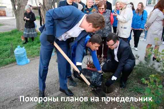 в сети появилось фото с пиар-акции Дмитрия Овсянникова по высадке лозы в одном из севастопольских дворов с подписью: хоронит наши планы на понедельник
