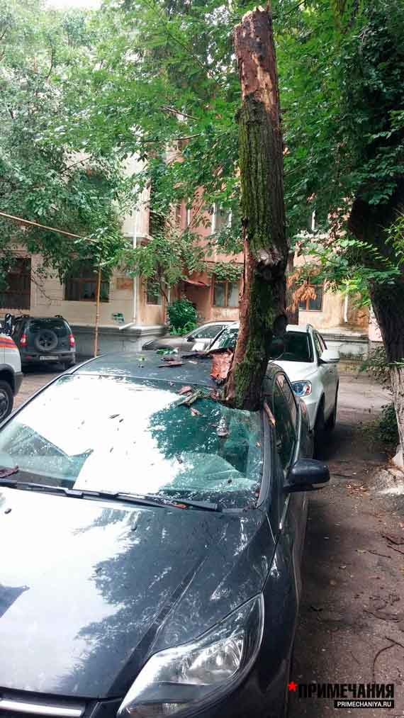 Удар был настолько сильный, что ствол прошел через лобовое стекло, зацепил приборную панель и уперся в водительское сидение.
