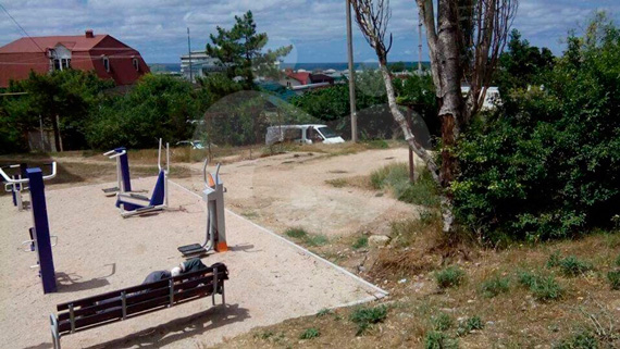 помочь спилить гигантский сухой тополь. Исполин пугает жителей Любимовки по улице Софьи Перовской 52