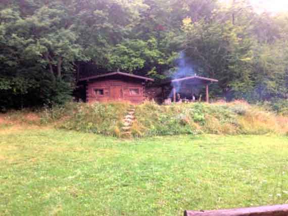 В лесу под Терновкой нашлись незаконные домики для отдыха