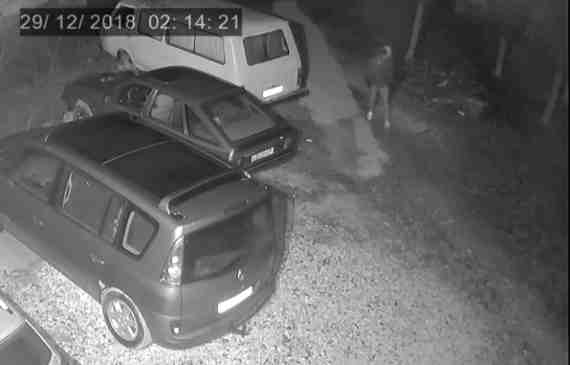 Молодой человек в белом капюшоне вышел на промысел в третьем часу ночи