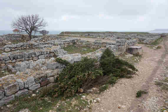 Был кипарис и нет кипариса. Не сухой и не старый...