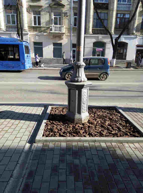 Ноу-хау: в центре Севастополе коммунальщики удобрили фонарный столб