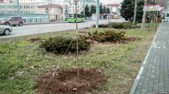 Ремонтировать собираются только одну сторону проспекта – нечетную. Эта сторона менее застроена офисными зданиями и на ней есть зеленая зона по всей длине