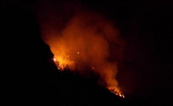 Только за последние несколько месяцев на склонах Фиолента уже трижды вспыхивали пожары: в районе турбаз «Каравелла», «Бриз» и в лесу у мыса Виноградный