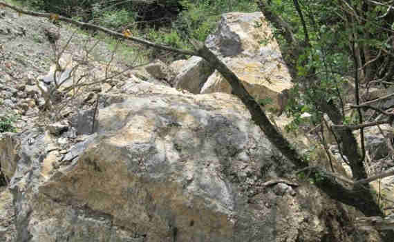 Многометровые и тяжелые каменные призмы повалили пойменный лес каньона реки