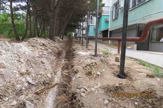 При установке забора на территории городской больницы №5 повредили корни деревьев