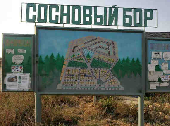 Сосновый бор в Севастополе