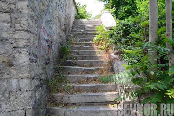 До реконструкции сквера в начале спуска, на первом пролёте лестницы, сохранялись красивые гранитные ступени – скорее всего, дореволюционные.