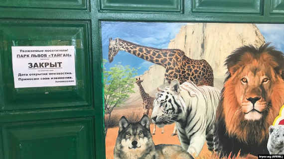 За месяц со дня приостановки деятельности сафари-парка «Тайган» в Белогорске убытки парка составили более 10 миллионов рублей