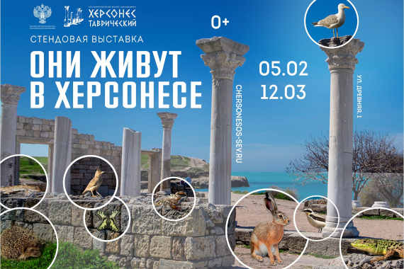 В музее-заповеднике начнет работу выставка «Они живут в Херсонесе»