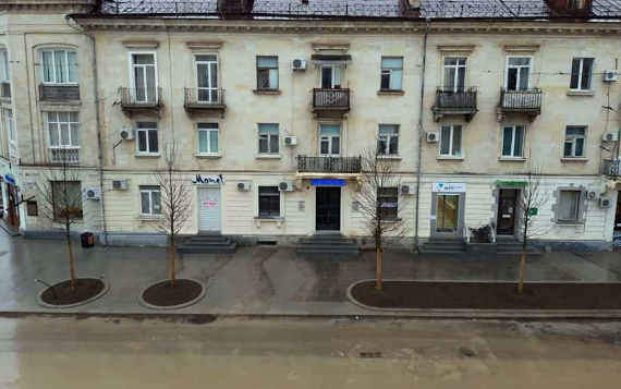 Первые деревья на Большой Морской. 24 февраля центральную улицу Севастополя украсили робинии. 25 деревьев специалисты высадили накануне ночью