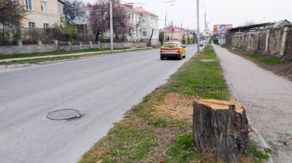 На участке улицы Л.Толстого между улицами Ковпака и Руднева, пока все сидят на, так называемом, карантине, исчезли практически все деревья и кустарники