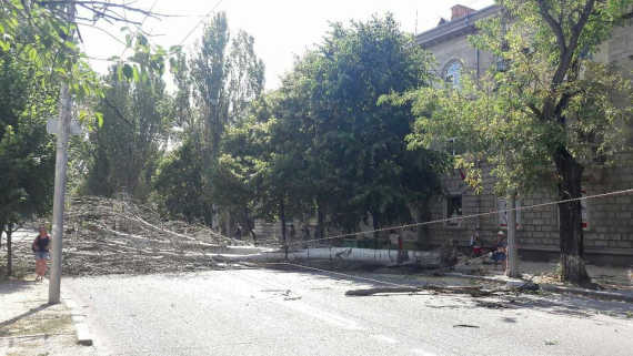 В Севастополе тополь перегородил дорогу