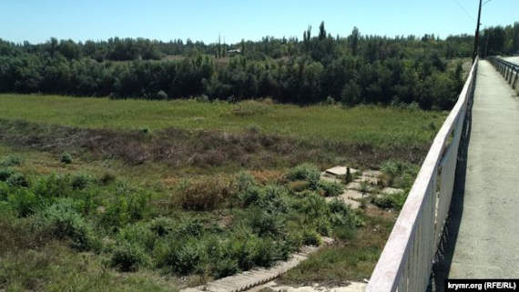 В частности, в Армянске в русле бывшего канала растет высокая трава и кустарники, а один из бетонных берегов зарос небольшими деревьями