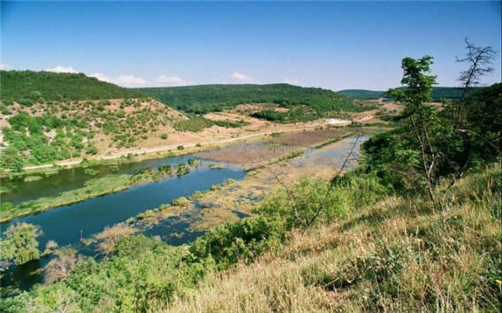 в Камышловском овраге