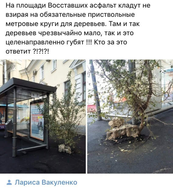 В результате ремонта тротуаров на площади Восставших у поликлиники у Первой горбольницы дерево у остановочного павильона безжалостно закатали в асфальт.