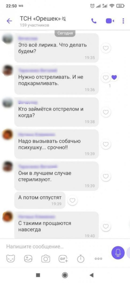 в общем чате ТСН стали появляться предложения решить проблему бродячих животных радикально