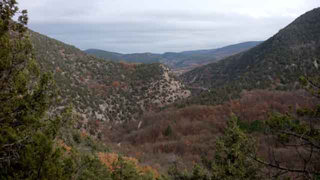 севастопольский лес, горы