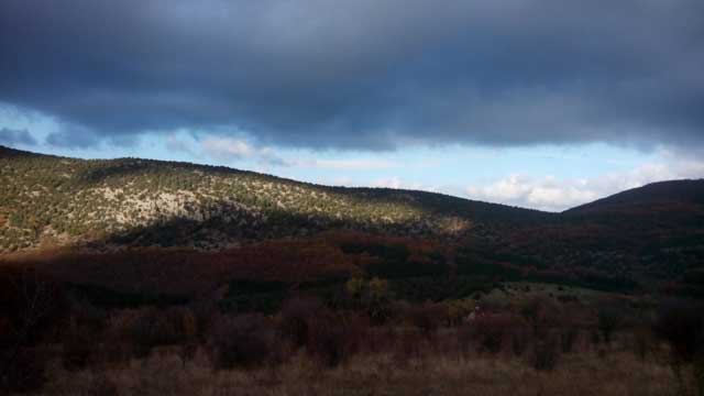 крымские горы, крымский лес