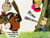 Заболеваемость ОРВИ в Севастополе увеличилась на 13% за неделю