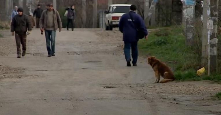 Жители садовых товариществ на Сапун-горе