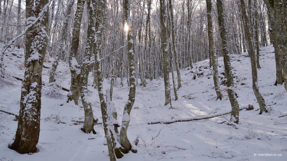 Высота снежного покрова в горах Крыма