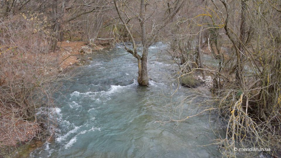 превышение нормы нестойких органических веществ в реках
